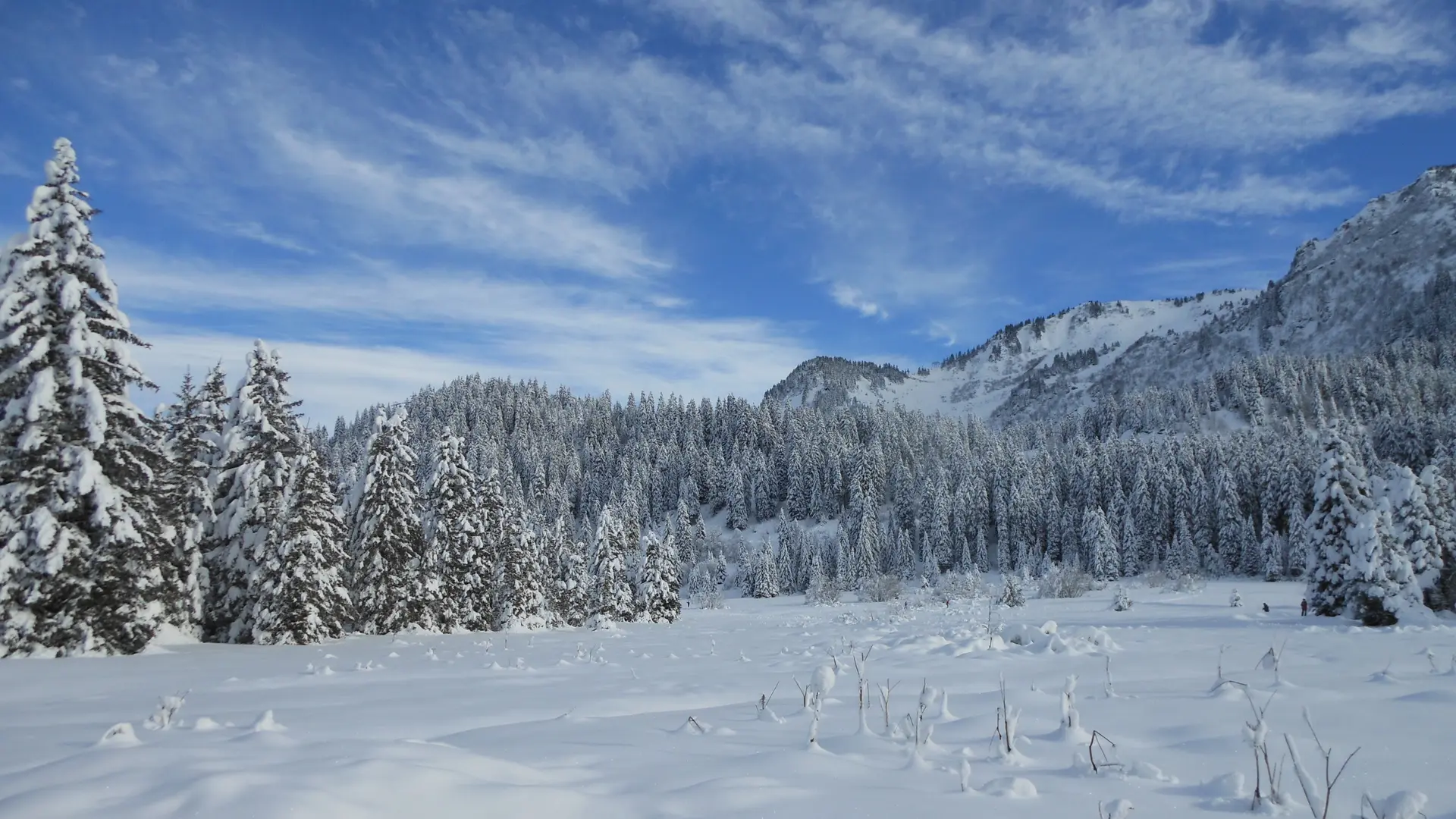 Boucle des Sapins