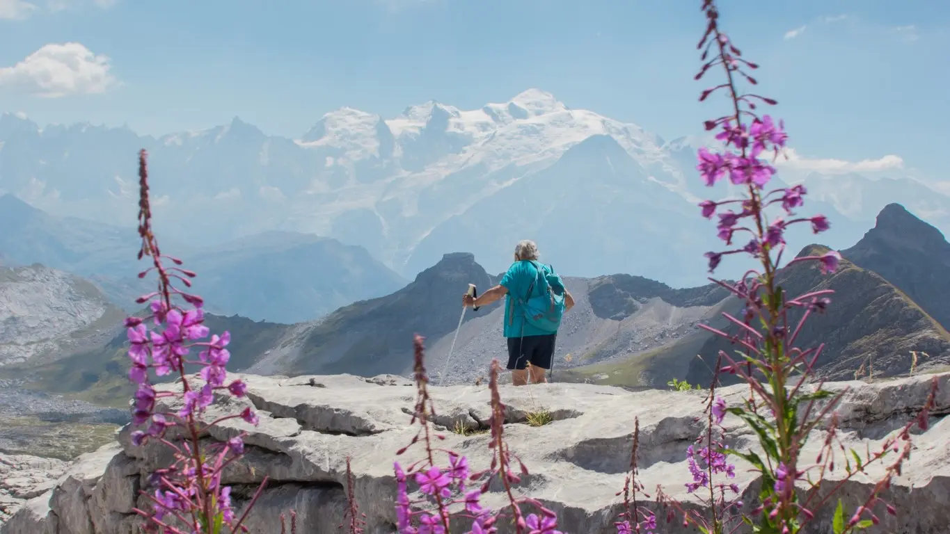 Désert de Platé
