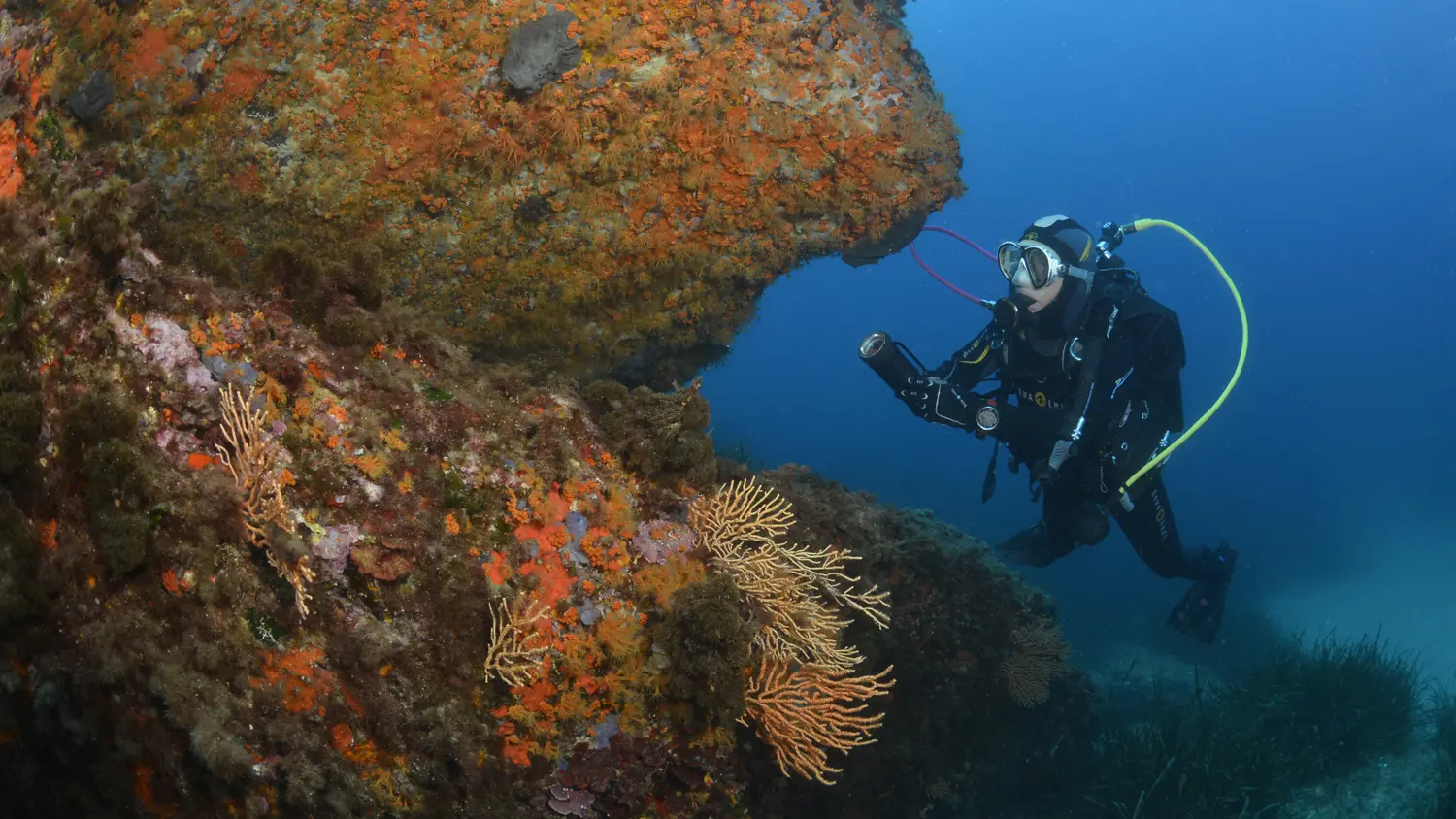 Centre de plongée Cap Plongée Six Fours