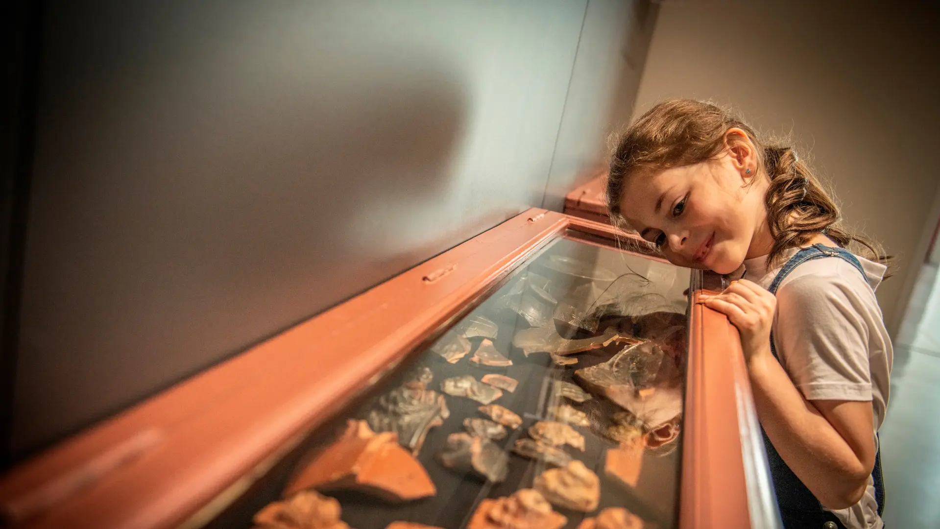 Découverte d'une vitrine/ Lezoux