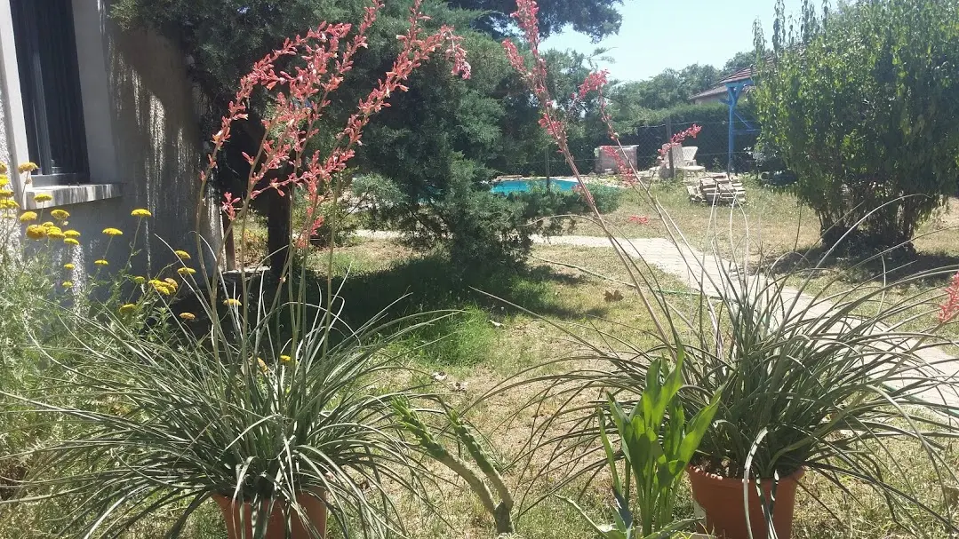 côté jardin et piscine