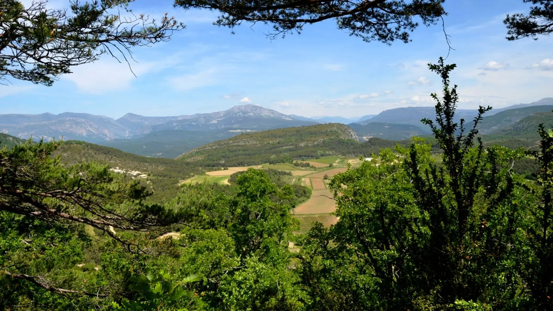 Sur les hauteurs de Comps sur Artuby