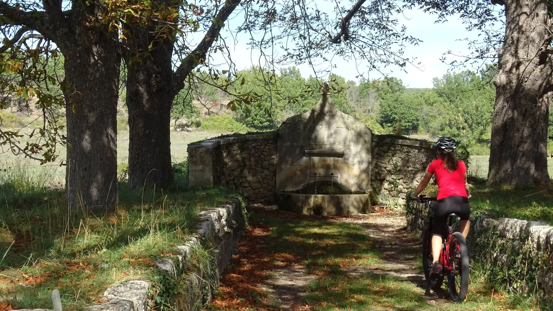 Vttiste roulant au milieu d'une allée de marronniers avec en fond une imposante fontaine en pierre datant de 1856