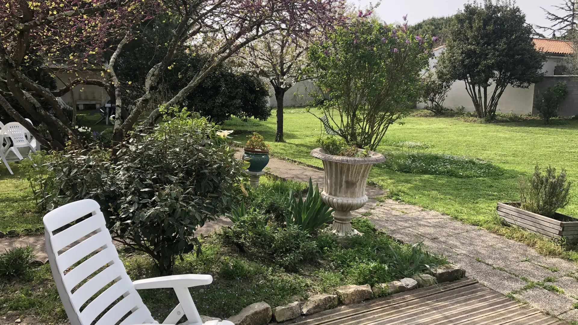 Jardin arboré avec transats