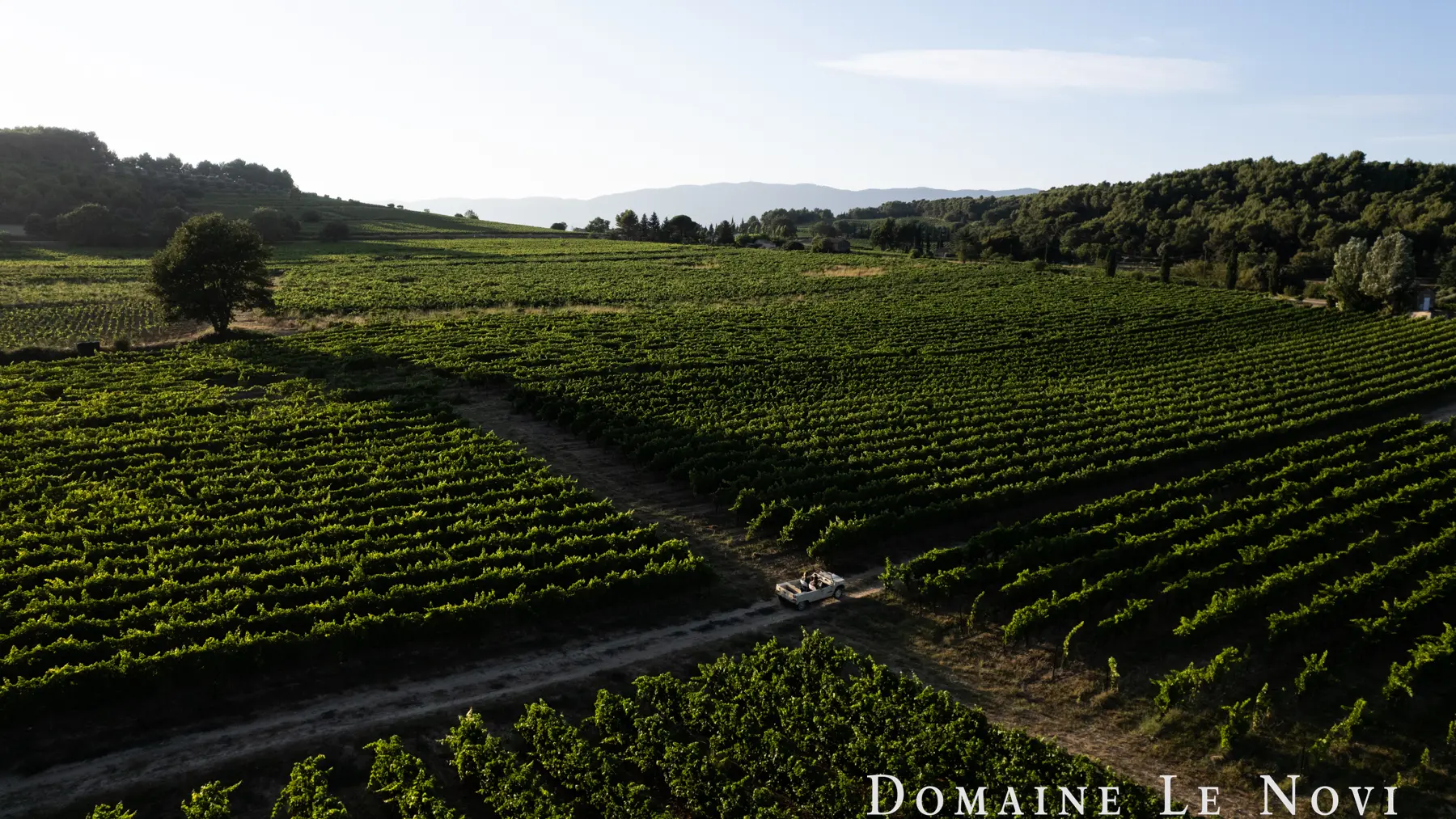 Domaine Le Novi