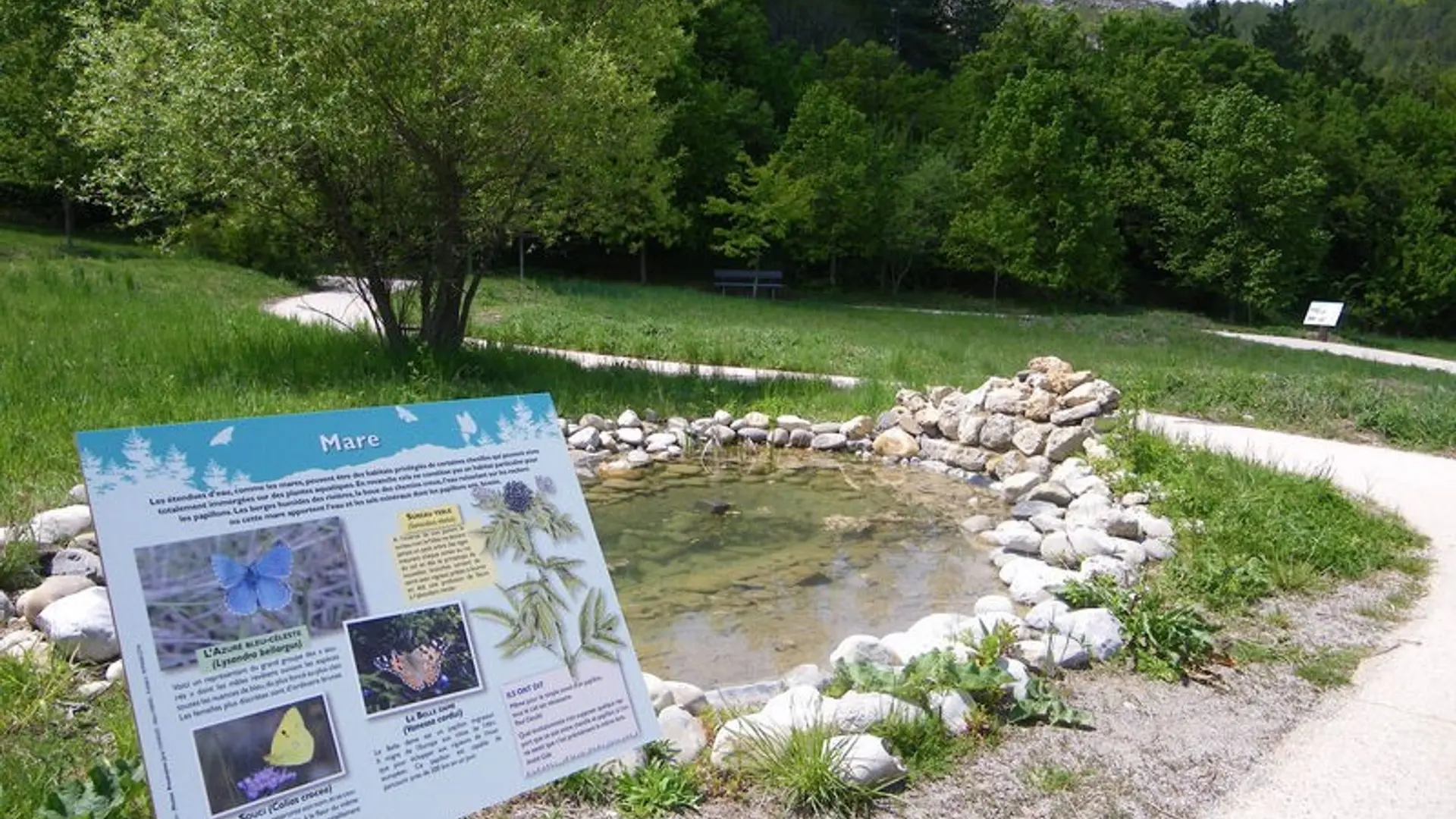 Petite mare en chemin