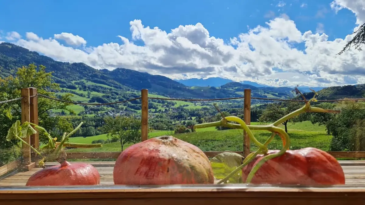 vue sur la Vallée Verte