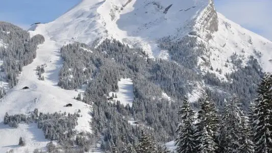 Le Chalet, face à l'Aiguille