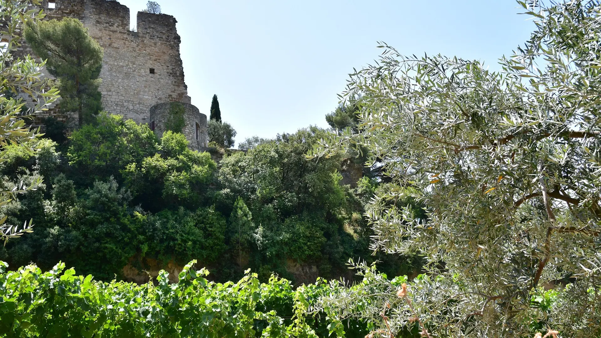 Les vignes et la vue de Baume-de-Venise