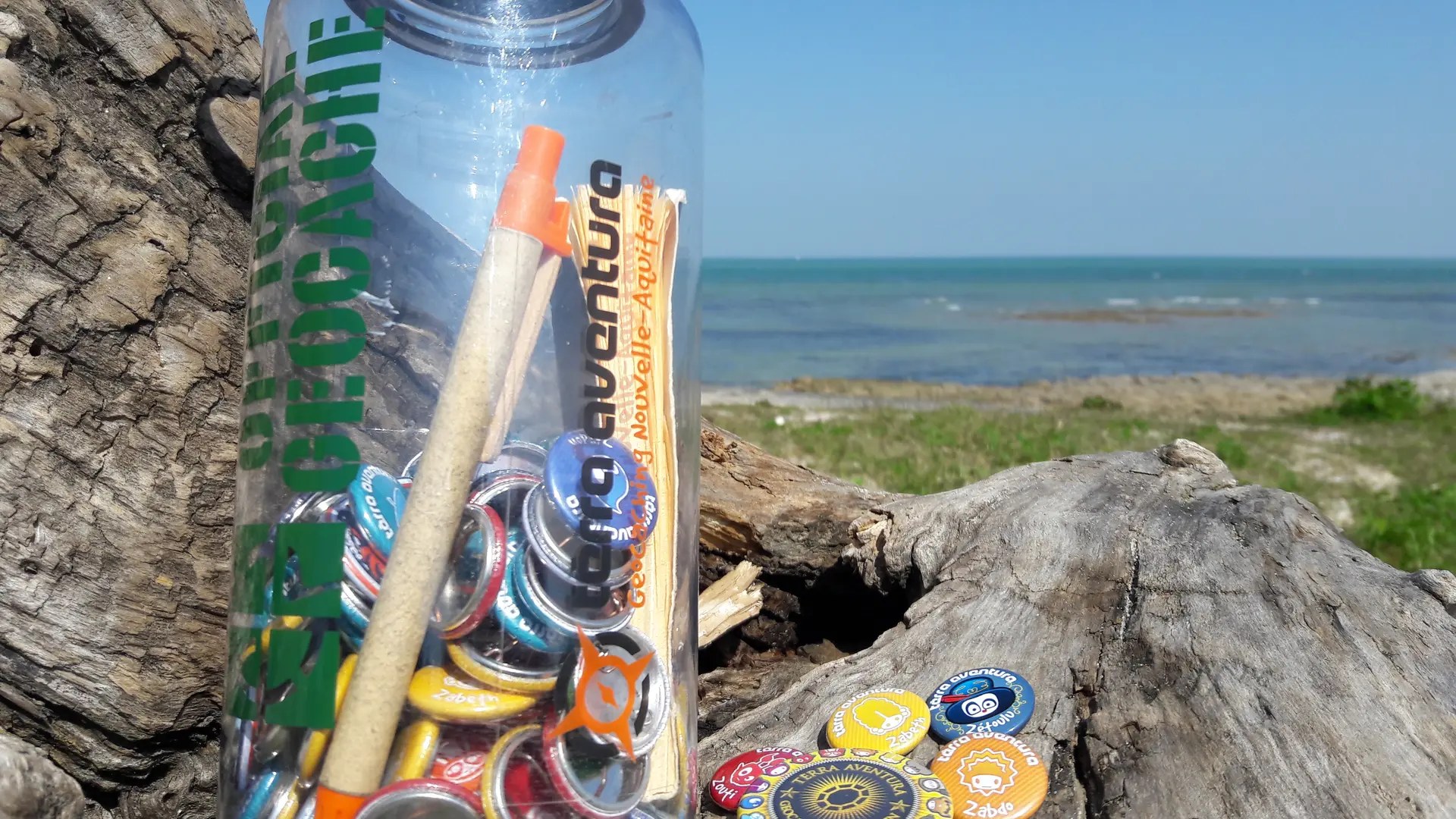 Terra Aventura: Ré, a touch of mystery_Loix