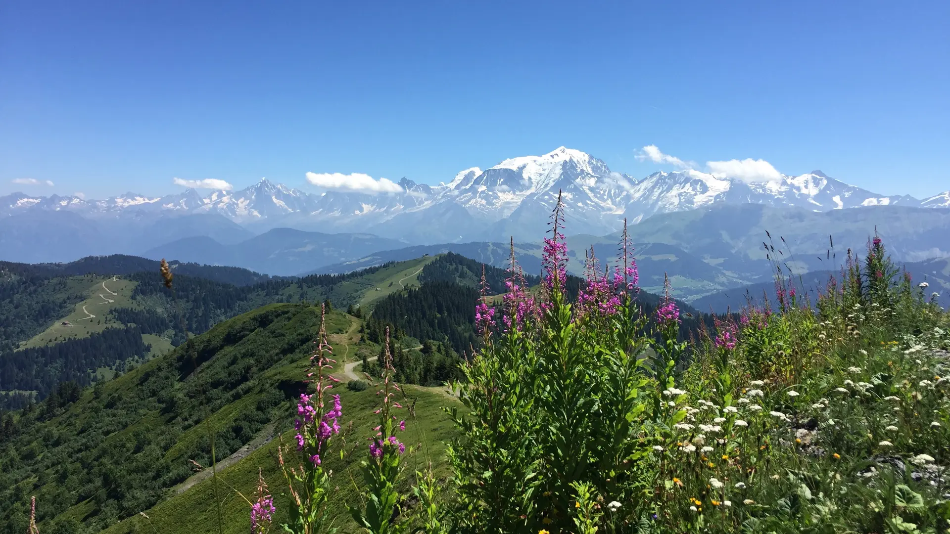 Balade Val d'Arly, Vue Mont Blanc