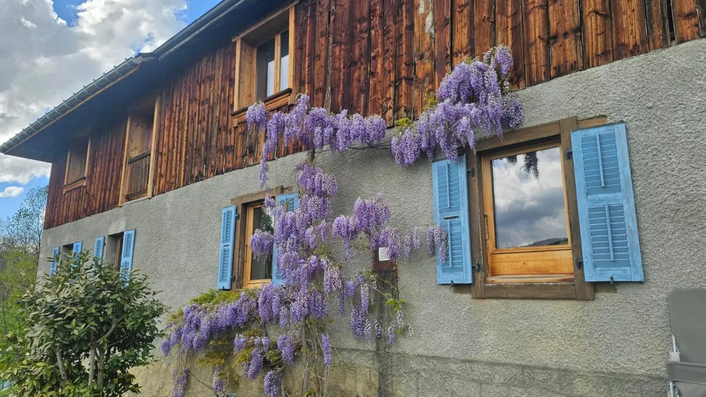 Au sud, l'appartement est au premier étage.