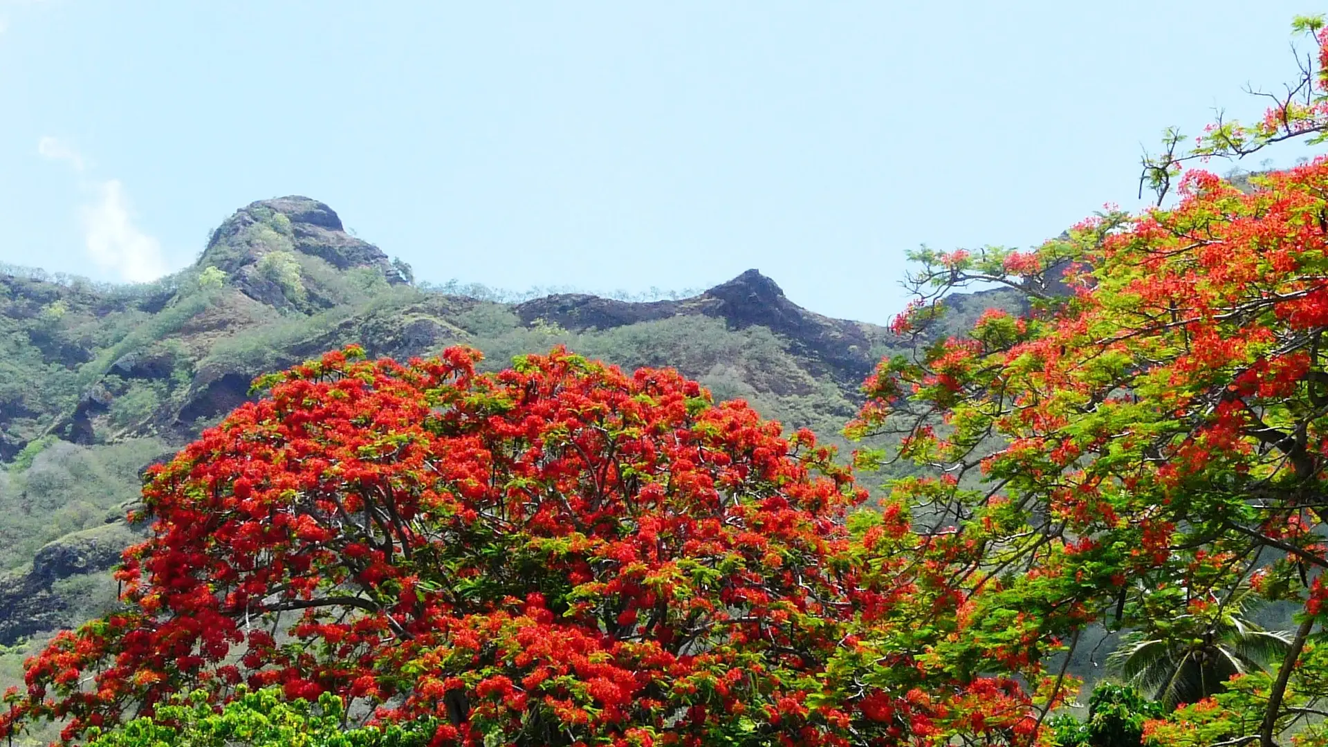 Pension Koku'u