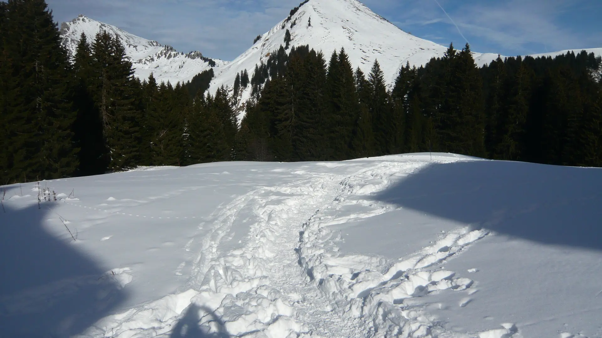Vue depuis la résidence