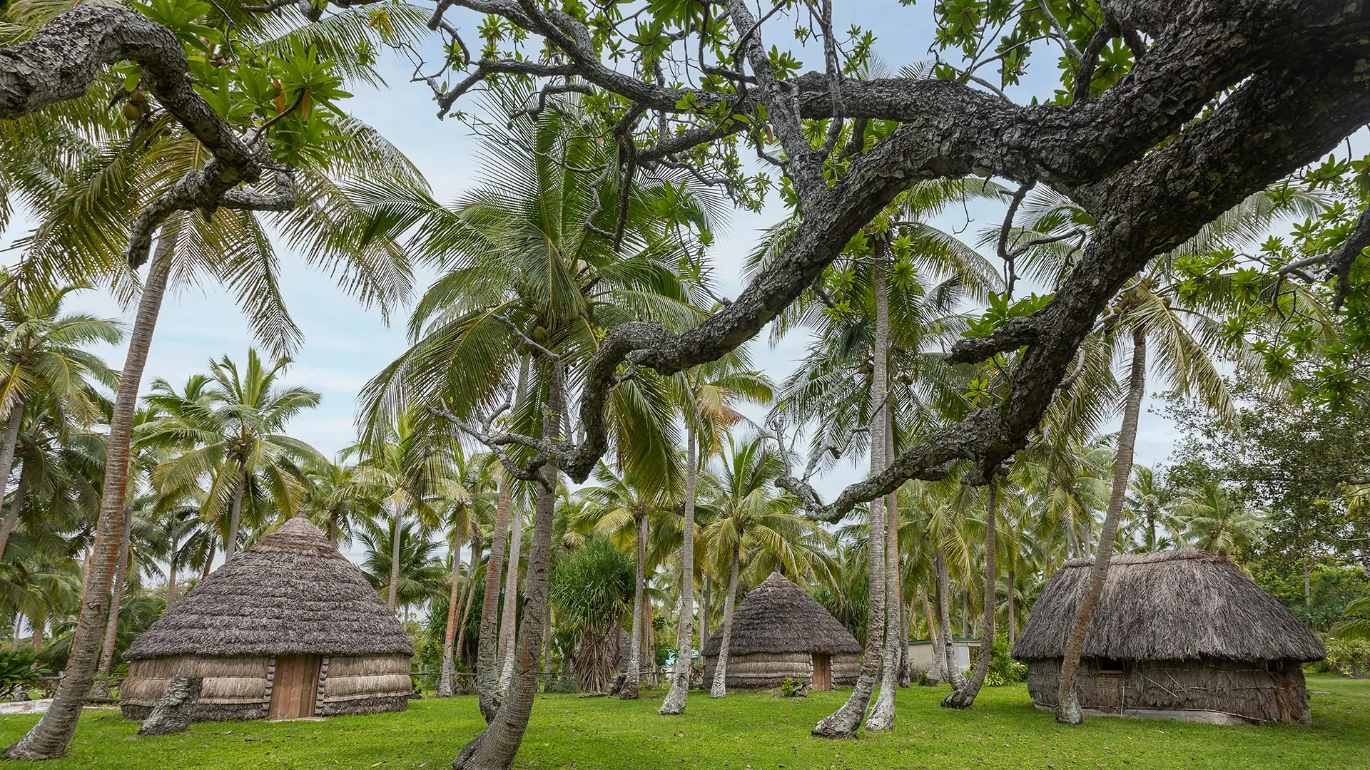 Thatched huts