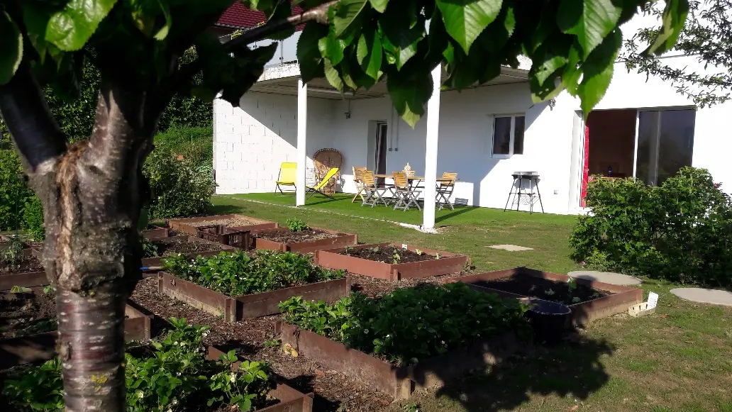 Potager en carrés devant espace extérieur aménagé