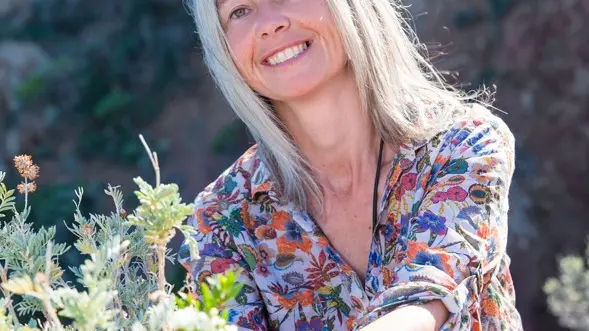 La vallée de l'Endre et ses pins parasols_Roquebrune-sur-Argens