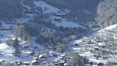 vue