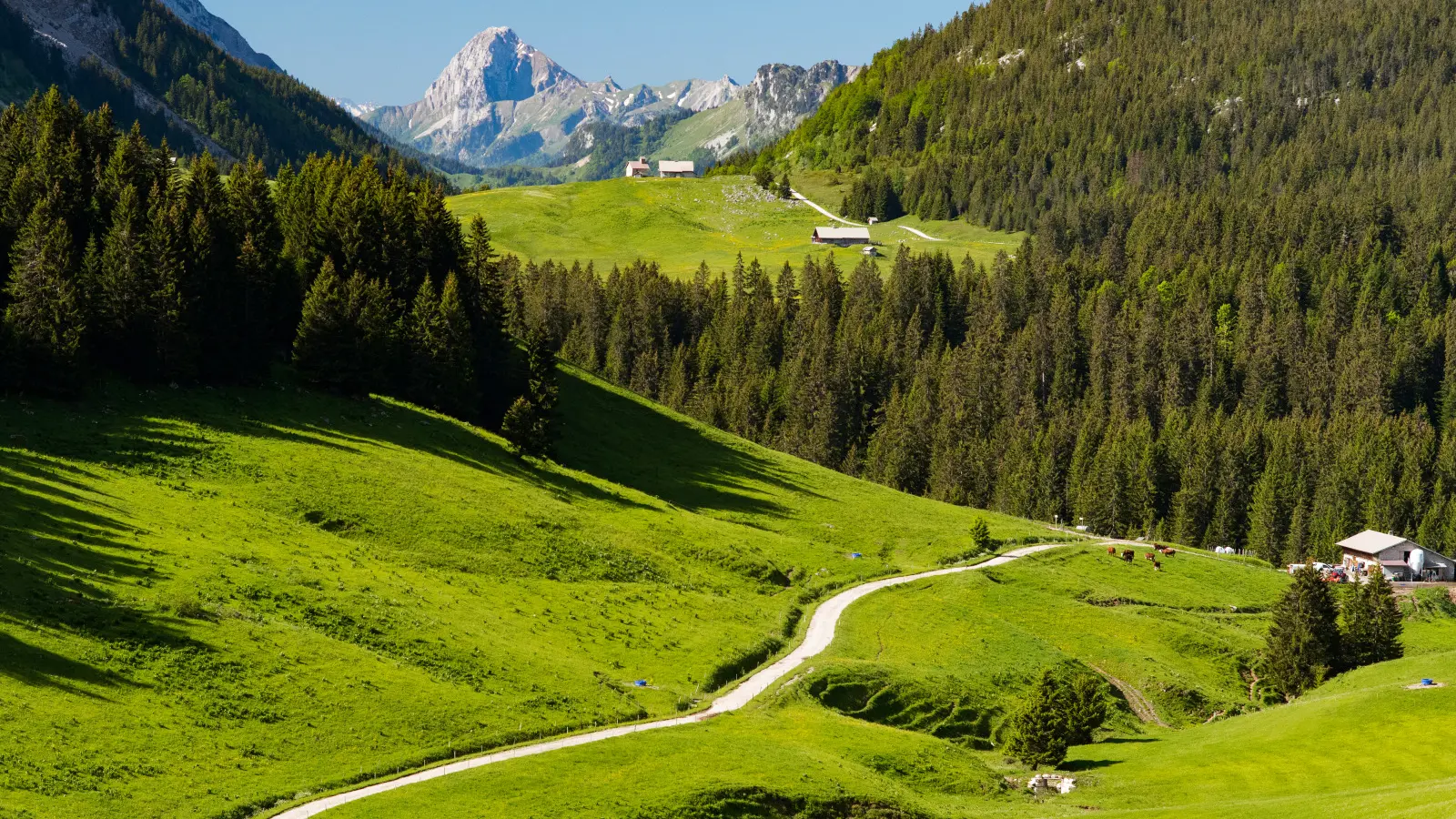 Glières