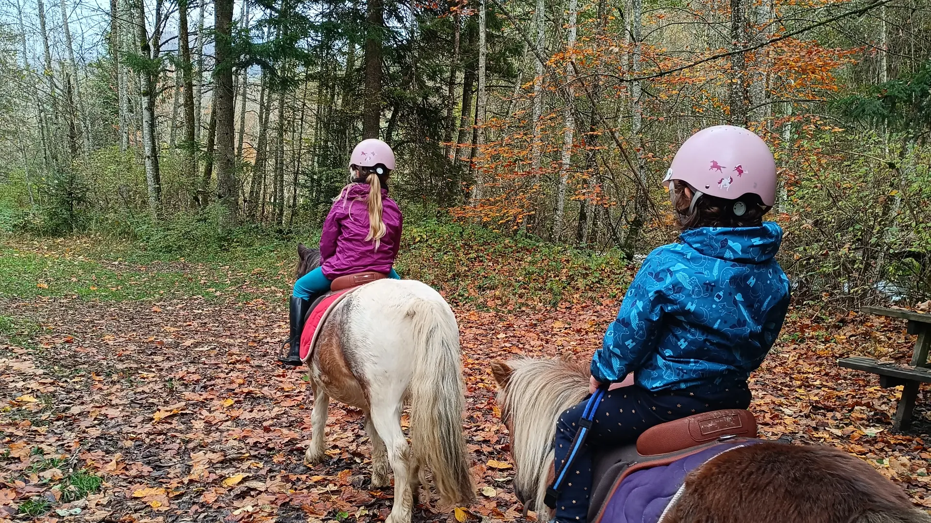 groupe d'enfant à dos de poney