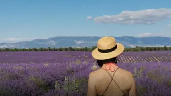 Visit winery and lavender farm