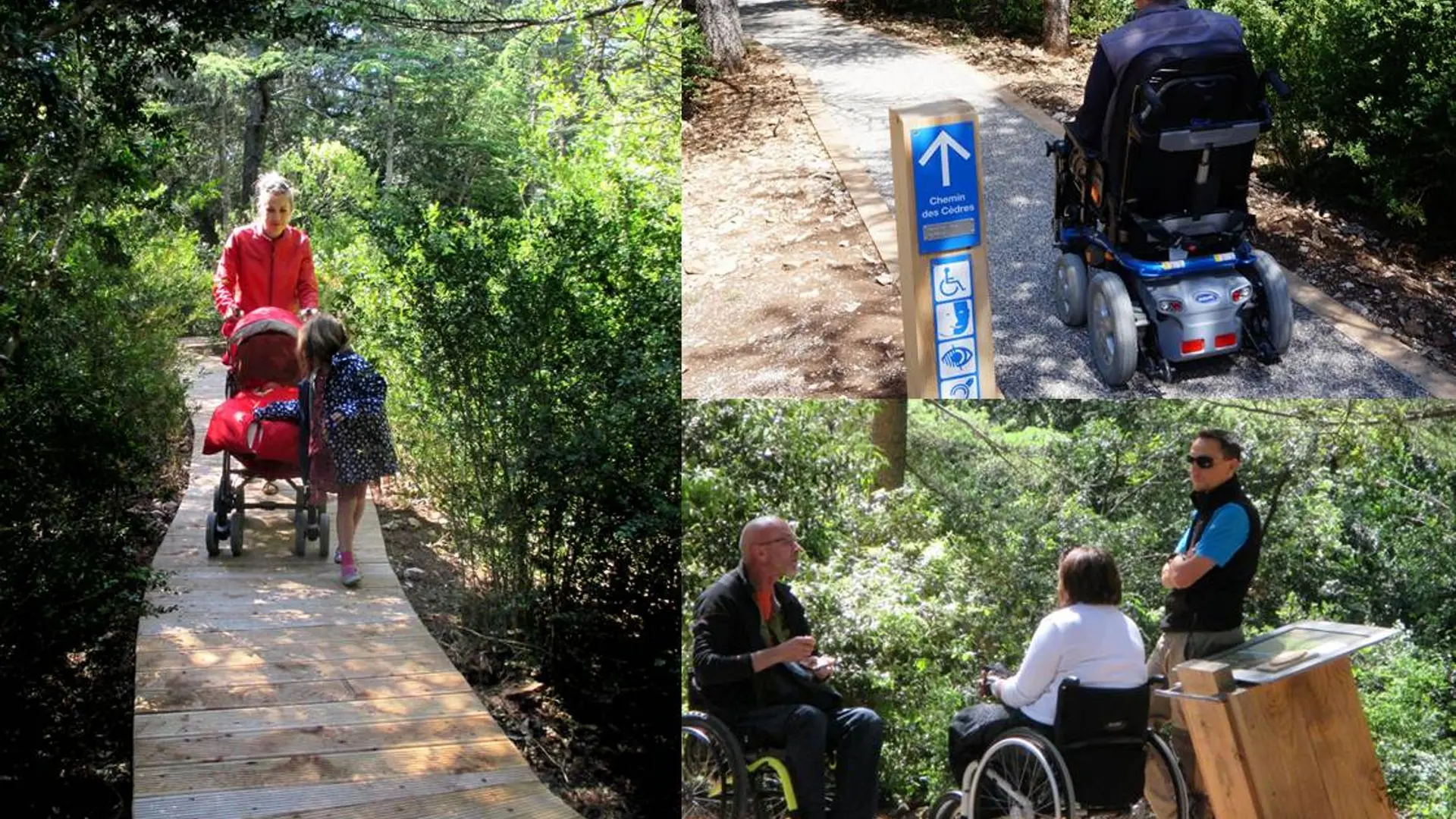 Chemin des cèdres, accessible à tous...