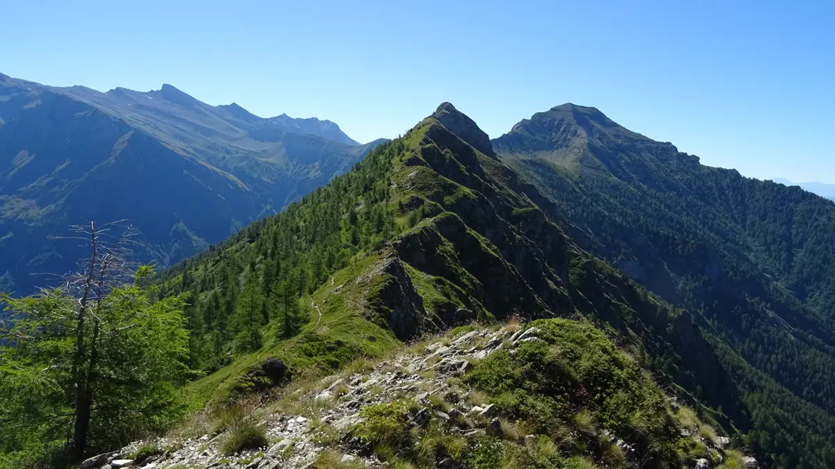 Itinéraire de randonnée jusqu'au Col du Cendrier