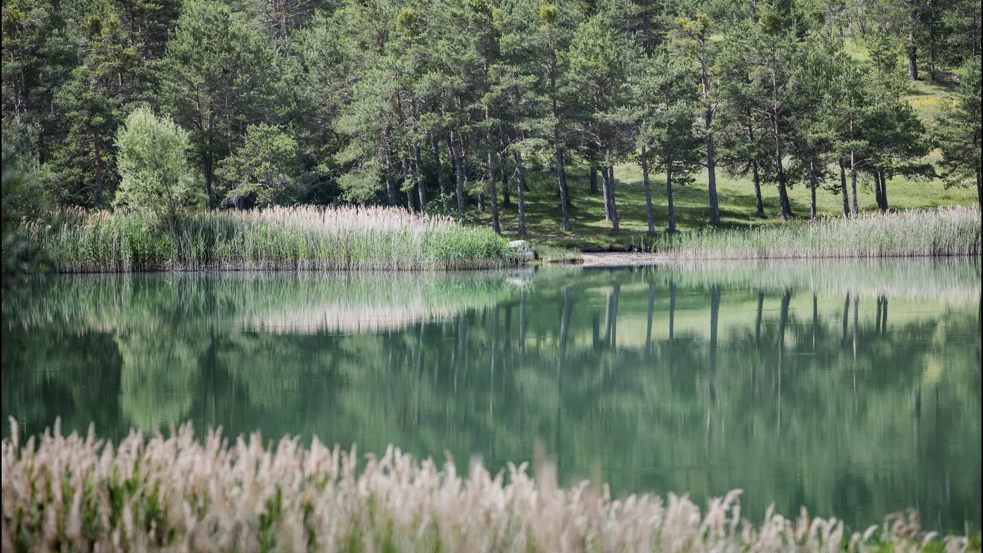 Lac des Sagnes Thorame Haute