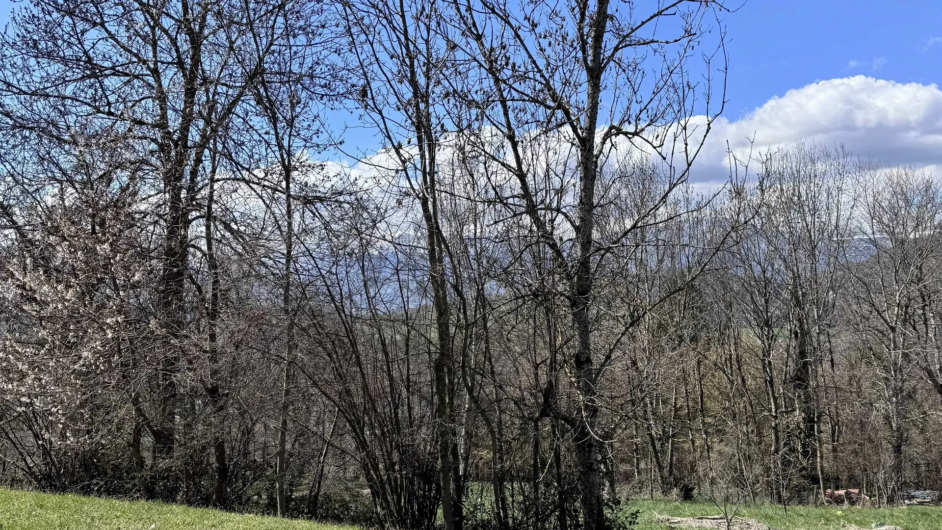 Vue du jardin avec le massif de Belledonne en arrière-plan.