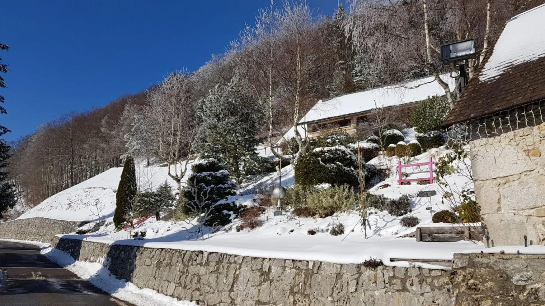 Le jardin recouvert de neige
