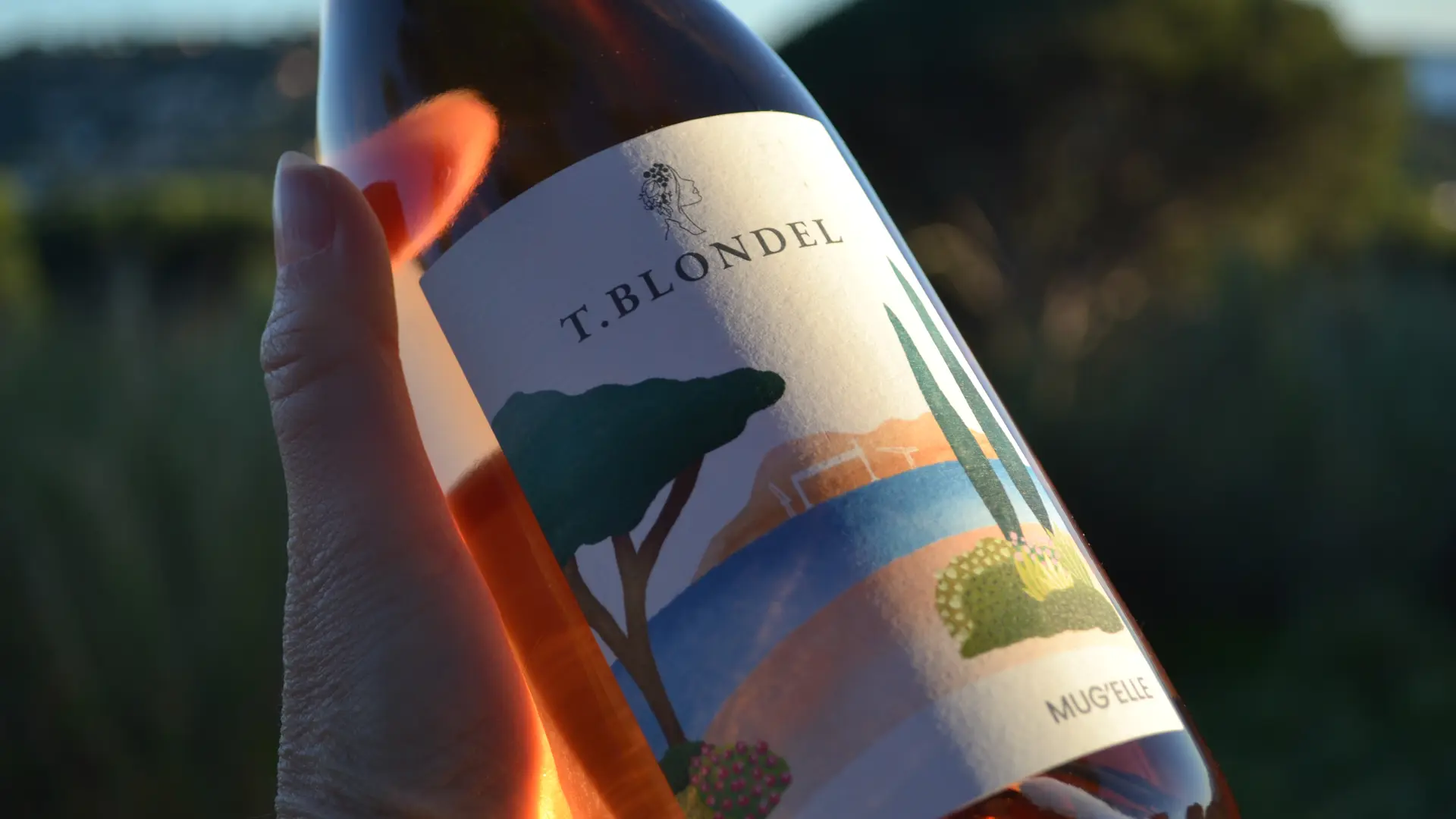 T.Blondel Vins Ciotadens