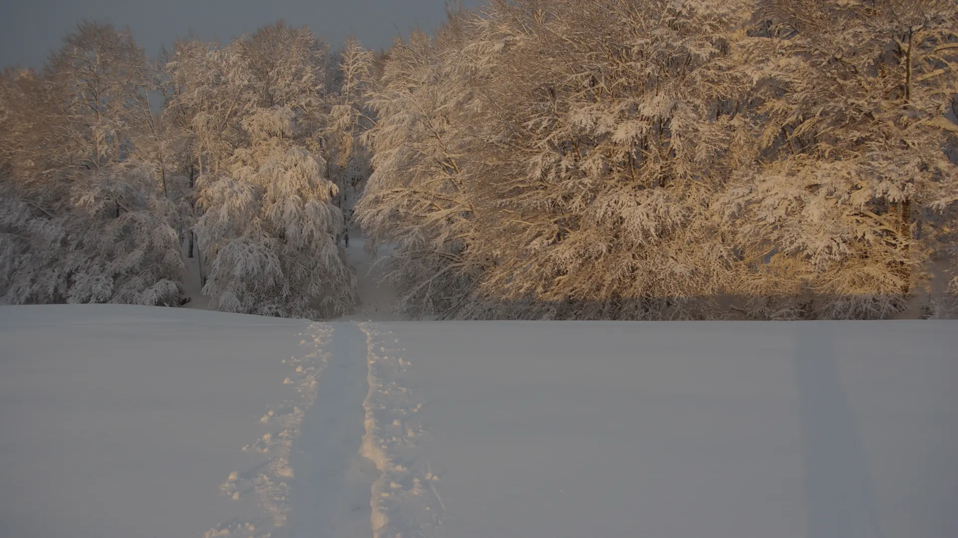La Ferme des Taillis