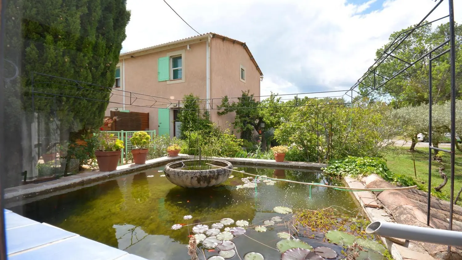 Le bassin avec poissons