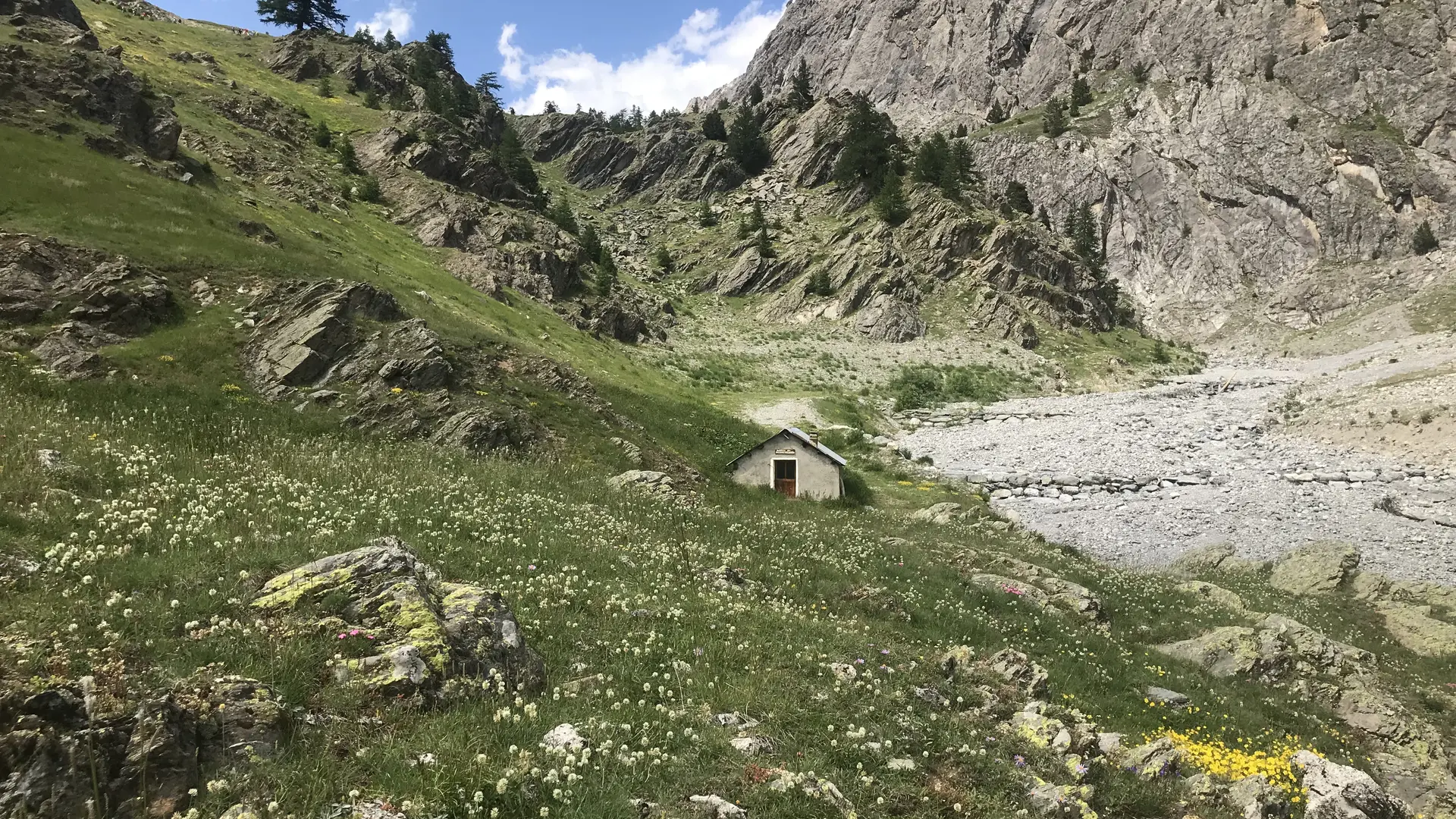 découverte des  marmottes