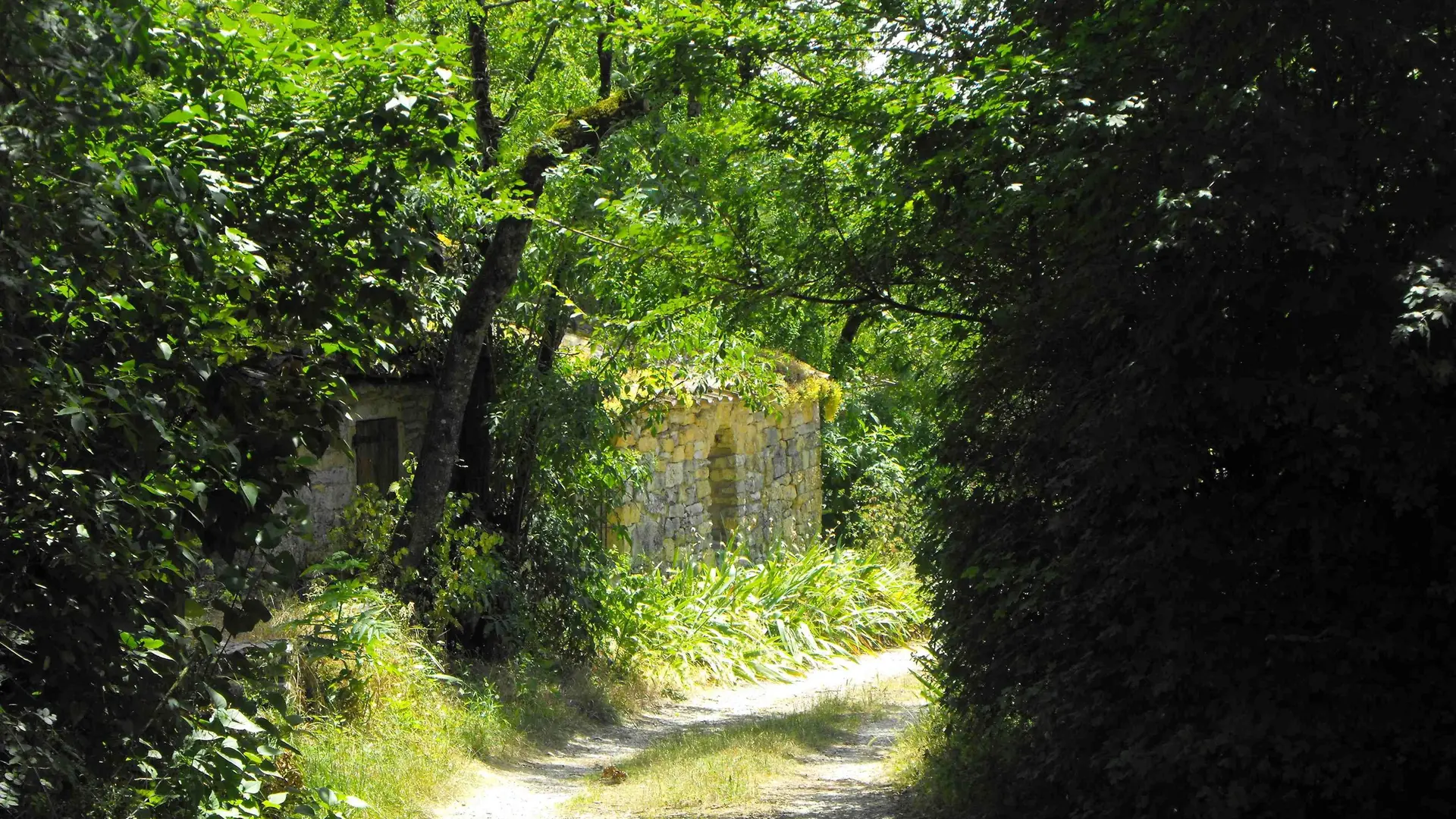 sentier