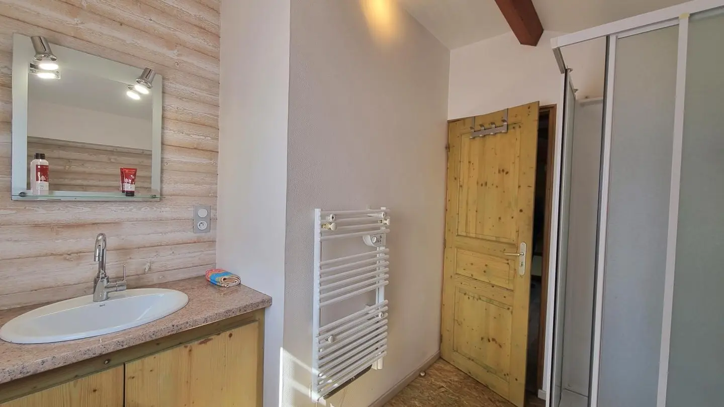 Salle d'eau : douche & vasque.