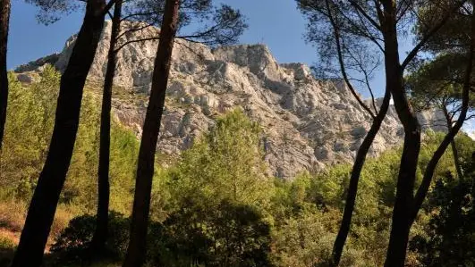 randonnée vers la montagne Sainte-Victoire