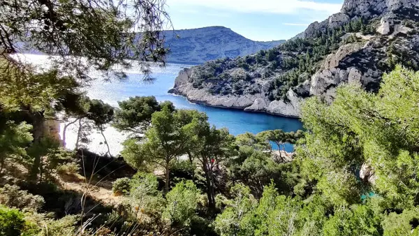 Naturopathic hike and poetry in Calanque of Sugiton (half-day)