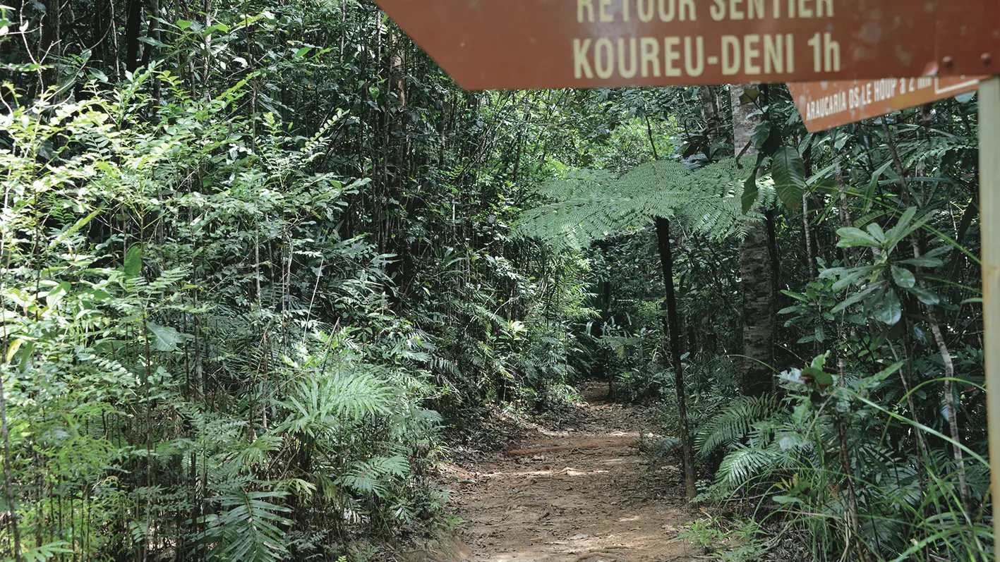 Le sentier Koureu Deni