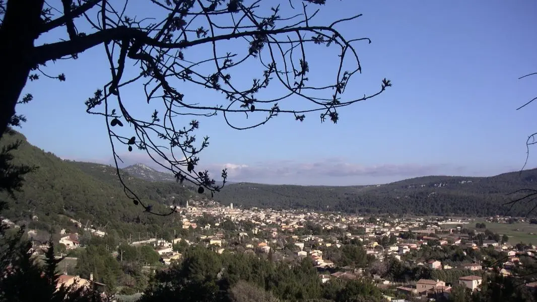 vue sur le polje