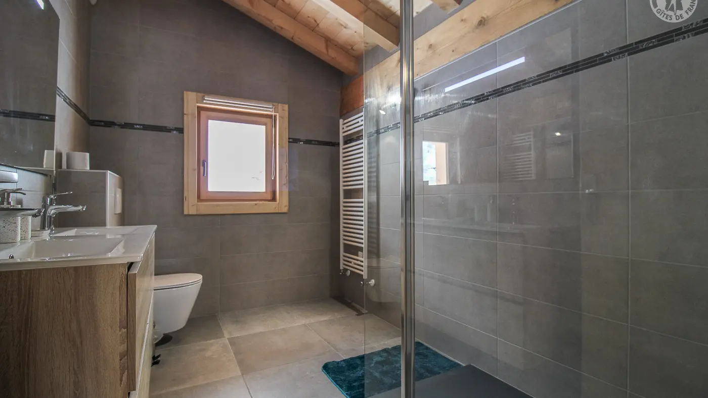 73G132341 - CHALET BELLEVILLE - HAUTELUCE