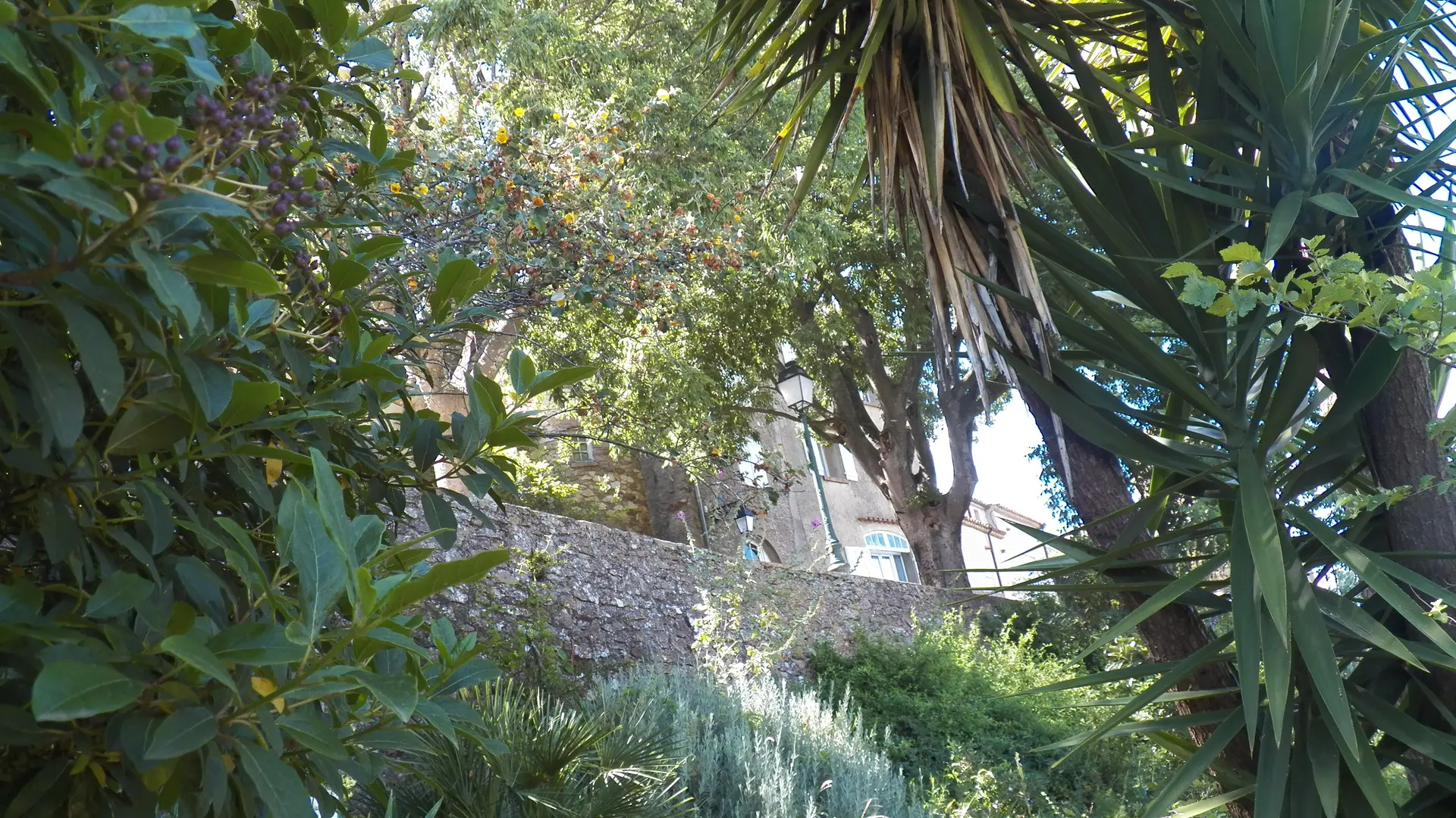 Jardin remarquable L'Hardy à Gassin - https://gassin.eu