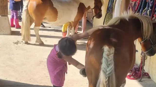 Stages vacances de Pâques - centre équestre Terre et Ciel
