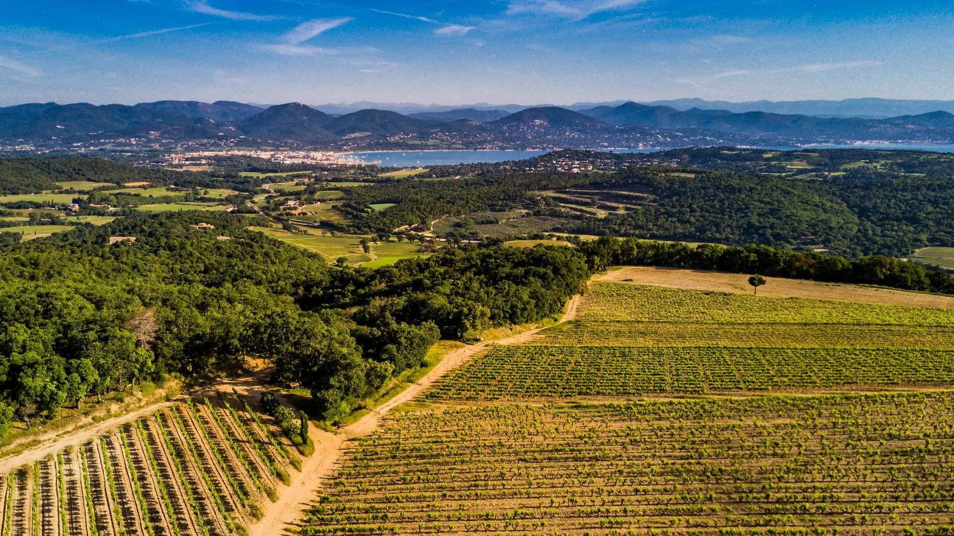 Vignobles de Ramatuelle