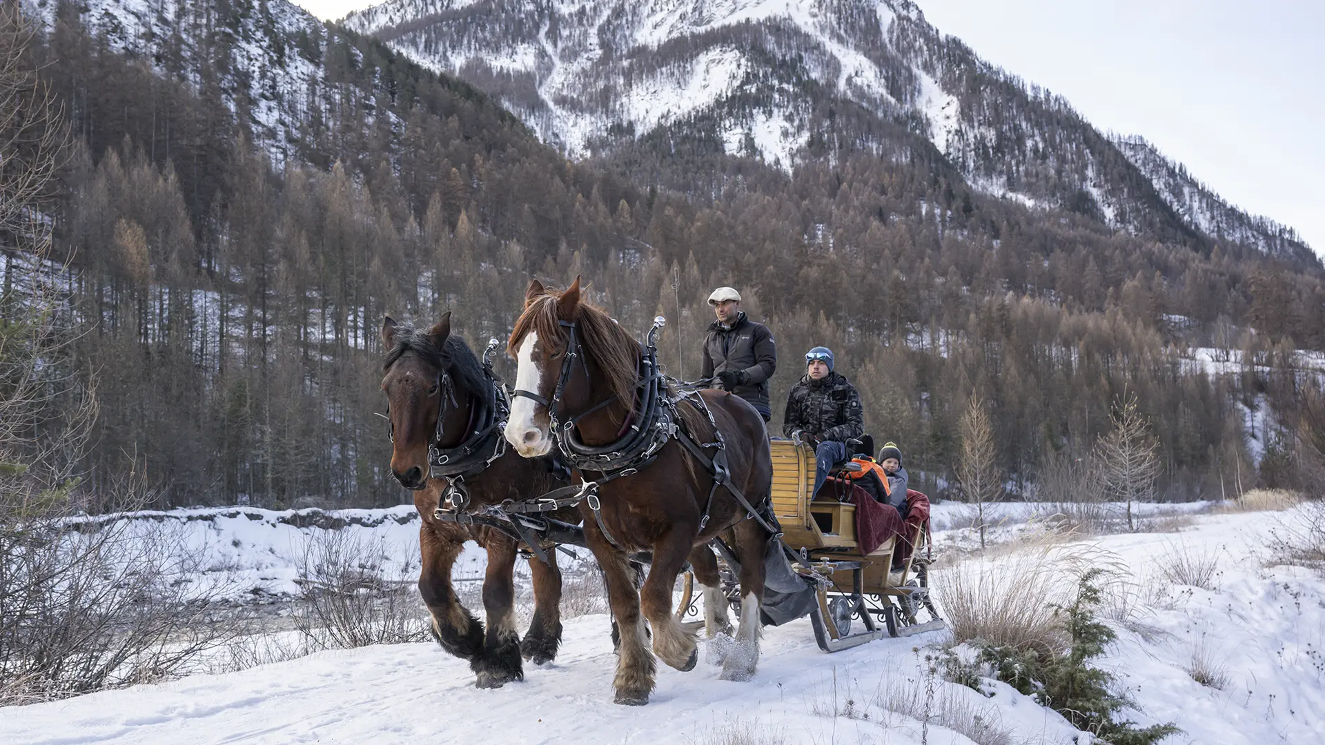 Provence Equiservices - Traîneau équin