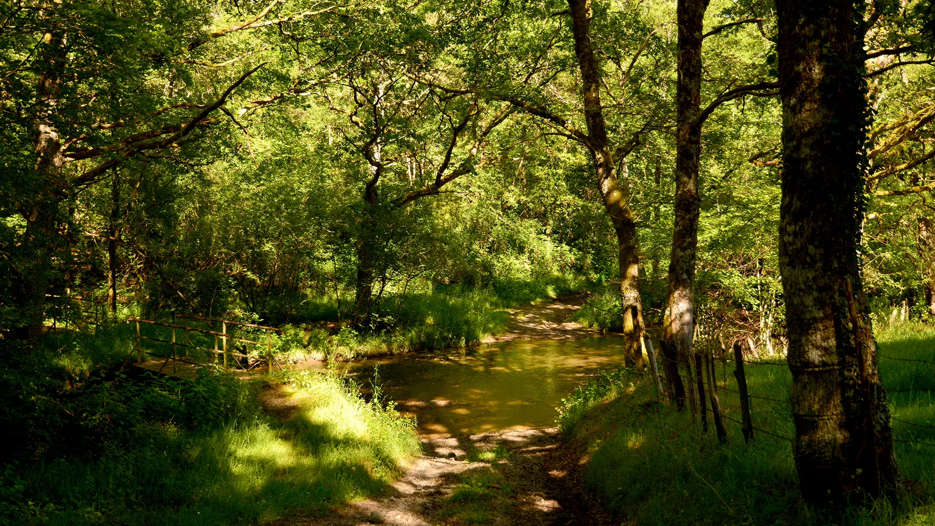 Le marais de Cassan