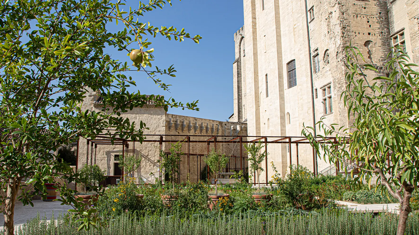 Jardins du Palais des papes