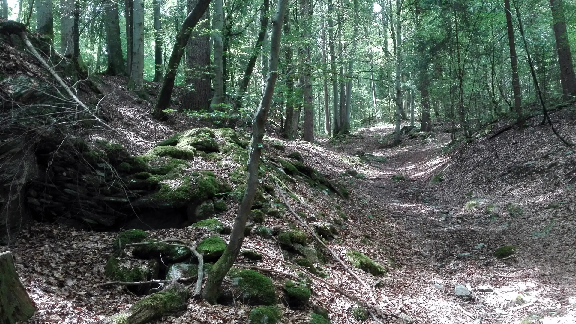 Sentier des Gures