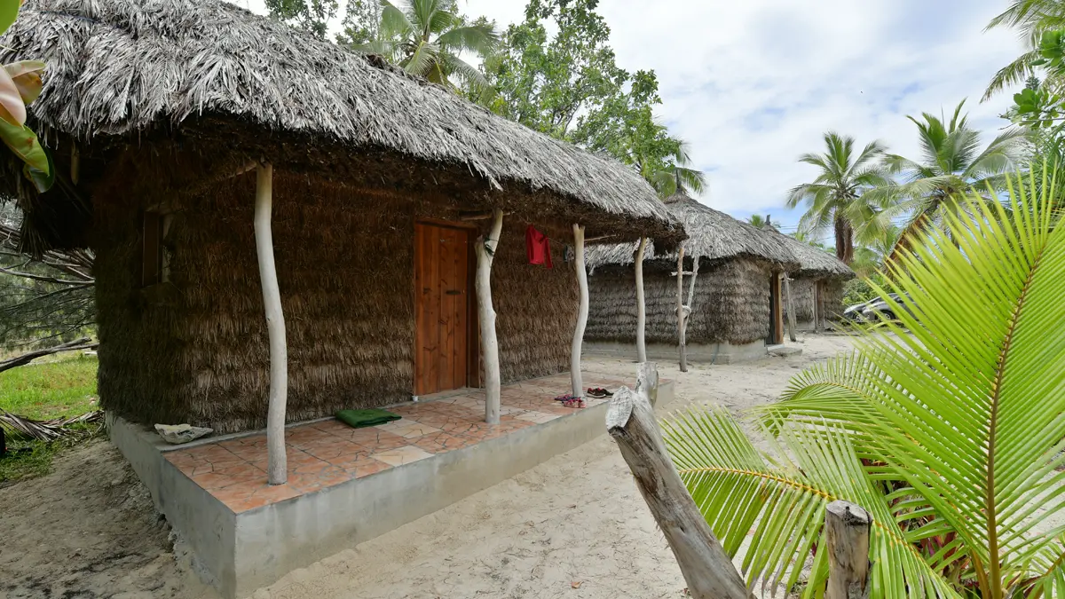 Thatched hut