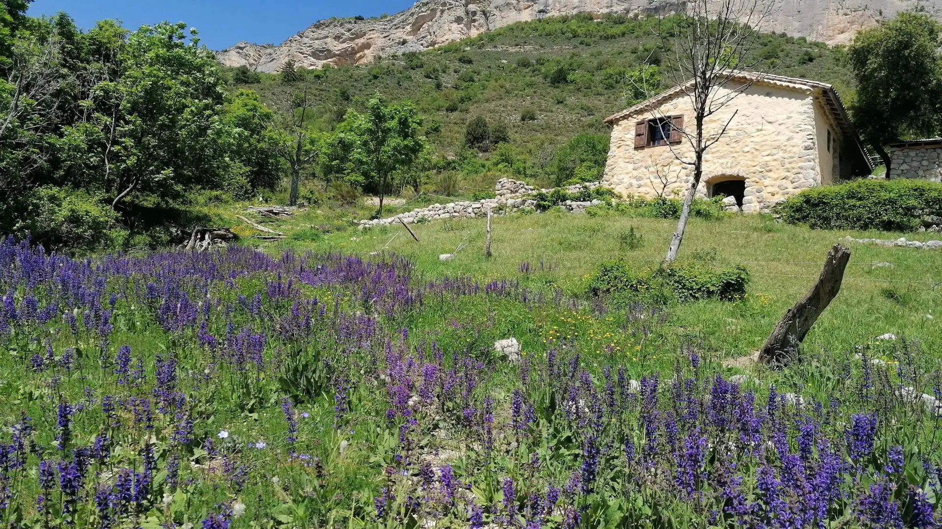 Bergerie Basse Crigne